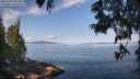 ./images/koeye/fitz-hugh/20250615/fitz-hugh20250615_092010M.jpg