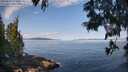 ./images/koeye/fitz-hugh/20250615/fitz-hugh20250615_092509M.jpg