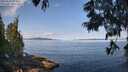 ./images/koeye/fitz-hugh/20250615/fitz-hugh20250615_093012M.jpg