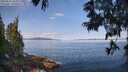 ./images/koeye/fitz-hugh/20250615/fitz-hugh20250615_093508M.jpg