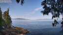 ./images/koeye/fitz-hugh/20250615/fitz-hugh20250615_094511M.jpg