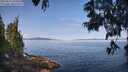 ./images/koeye/fitz-hugh/20250615/fitz-hugh20250615_095010M.jpg
