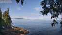 ./images/koeye/fitz-hugh/20250615/fitz-hugh20250615_095510M.jpg