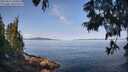 ./images/koeye/fitz-hugh/20250615/fitz-hugh20250615_100012M.jpg