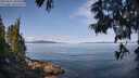./images/koeye/fitz-hugh/20250615/fitz-hugh20250615_100510M.jpg