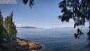 ./images/koeye/fitz-hugh/20250615/fitz-hugh20250615_101010M.jpg