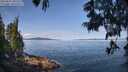 ./images/koeye/fitz-hugh/20250615/fitz-hugh20250615_101510M.jpg