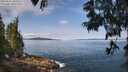 ./images/koeye/fitz-hugh/20250615/fitz-hugh20250615_102507M.jpg