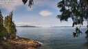 ./images/koeye/fitz-hugh/20250615/fitz-hugh20250615_103012M.jpg