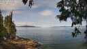 ./images/koeye/fitz-hugh/20250615/fitz-hugh20250615_103509M.jpg