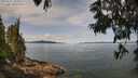 ./images/koeye/fitz-hugh/20250615/fitz-hugh20250615_104511M.jpg