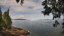 ./images/koeye/fitz-hugh/20250615/fitz-hugh20250615_105010M.jpg