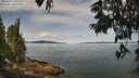 ./images/koeye/fitz-hugh/20250615/fitz-hugh20250615_105509M.jpg