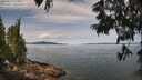 ./images/koeye/fitz-hugh/20250615/fitz-hugh20250615_110012M.jpg