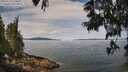 ./images/koeye/fitz-hugh/20250615/fitz-hugh20250615_110510M.jpg