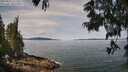 ./images/koeye/fitz-hugh/20250615/fitz-hugh20250615_111511M.jpg