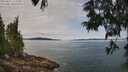 ./images/koeye/fitz-hugh/20250615/fitz-hugh20250615_113510M.jpg