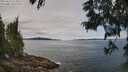 ./images/koeye/fitz-hugh/20250615/fitz-hugh20250615_114511M.jpg