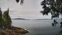 ./images/koeye/fitz-hugh/20250615/fitz-hugh20250615_120012M.jpg