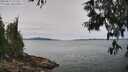 ./images/koeye/fitz-hugh/20250615/fitz-hugh20250615_121510M.jpg