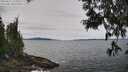 ./images/koeye/fitz-hugh/20250615/fitz-hugh20250615_123509M.jpg