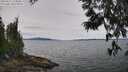 ./images/koeye/fitz-hugh/20250615/fitz-hugh20250615_124010M.jpg