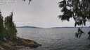 ./images/koeye/fitz-hugh/20250615/fitz-hugh20250615_125510M.jpg