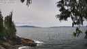 ./images/koeye/fitz-hugh/20250615/fitz-hugh20250615_130507M.jpg