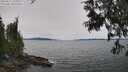 ./images/koeye/fitz-hugh/20250615/fitz-hugh20250615_135008M.jpg