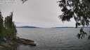 ./images/koeye/fitz-hugh/20250615/fitz-hugh20250615_140509M.jpg