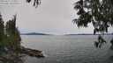 ./images/koeye/fitz-hugh/20250615/fitz-hugh20250615_143010M.jpg