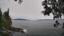 ./images/koeye/fitz-hugh/20250615/fitz-hugh20250615_145009M.jpg