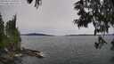 ./images/koeye/fitz-hugh/20250615/fitz-hugh20250615_145510M.jpg