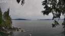 ./images/koeye/fitz-hugh/20250615/fitz-hugh20250615_163510M.jpg