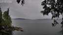 ./images/koeye/fitz-hugh/20250615/fitz-hugh20250615_185510M.jpg
