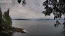 ./images/koeye/fitz-hugh/20250615/fitz-hugh20250615_202507M.jpg