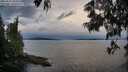 ./images/koeye/fitz-hugh/20250615/fitz-hugh20250615_204508M.jpg