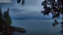 ./images/koeye/fitz-hugh/20250615/fitz-hugh20250615_223010M.jpg