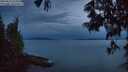 ./images/koeye/fitz-hugh/20250615/fitz-hugh20250615_223508M.jpg