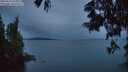 ./images/koeye/fitz-hugh/20250616/fitz-hugh20250616_045010M.jpg