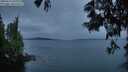 ./images/koeye/fitz-hugh/20250616/fitz-hugh20250616_050009M.jpg