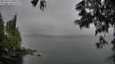 ./images/koeye/fitz-hugh/20250616/fitz-hugh20250616_060509M.jpg