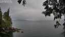./images/koeye/fitz-hugh/20250616/fitz-hugh20250616_061510M.jpg