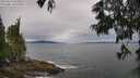 ./images/koeye/fitz-hugh/20250616/fitz-hugh20250616_093012M.jpg
