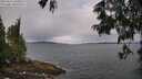 ./images/koeye/fitz-hugh/20250616/fitz-hugh20250616_100012M.jpg