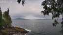 ./images/koeye/fitz-hugh/20250616/fitz-hugh20250616_101009M.jpg