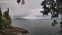 ./images/koeye/fitz-hugh/20250616/fitz-hugh20250616_102510M.jpg