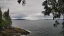 ./images/koeye/fitz-hugh/20250616/fitz-hugh20250616_104010M.jpg