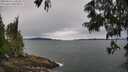 ./images/koeye/fitz-hugh/20250616/fitz-hugh20250616_110510M.jpg