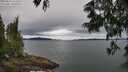 ./images/koeye/fitz-hugh/20250616/fitz-hugh20250616_121512M.jpg